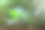 幼小的植物生长在晨光和绿色自然的散景背景下，新生命成长生态商业金融进步理念，地球日图片下载