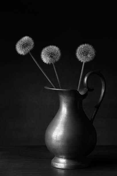 桌上有一个旧罐子，里面放着蒲公英花和种子图片下载