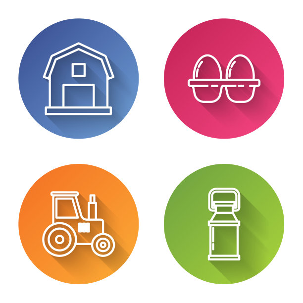 设定线农家概念鸡鸡蛋盒图片下载