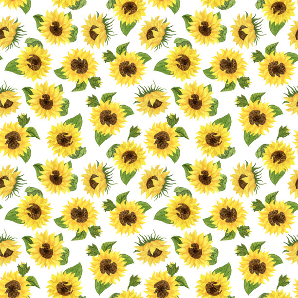 无缝图案的黄色向日葵与绿色的叶子。图片下载