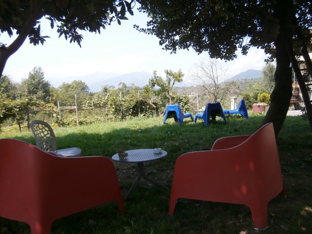 在意大利的一个农舍里，游客们可以坐在树下的扶手椅上图片下载