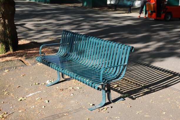 美丽的蓝色花园长椅在西雅图城市在夏天图片下载