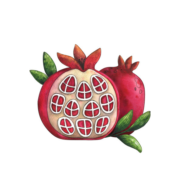 房子是水果形状的。红色的石榴石。可爱的儿童插图。一个程式化的住房。不寻常的架构。水彩画，白色背景明信片。装饰性的浆果。素材图片