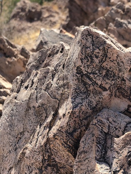 在亚利桑那州徒步旅行时发现的石头图片下载