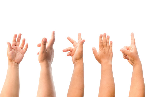 一组女人的手孤立在白色背景与剪切路径。图片下载