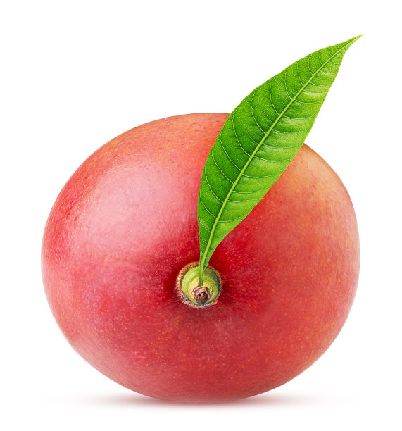 带有叶子的芒果图片下载