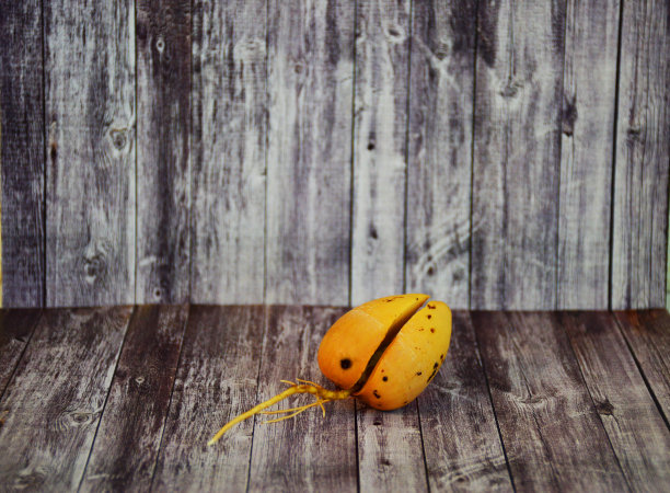 在木板的背景上发芽的鳄梨种子图片下载