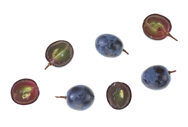 蓝色葡萄——整颗和半颗，孤立在白色背景上。前视图。图片下载