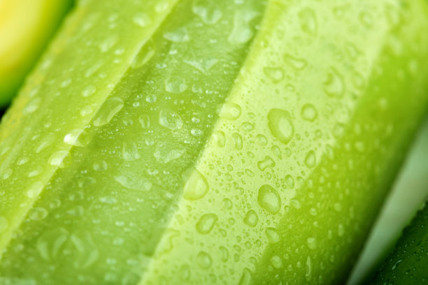 淡绿色水果和蔬菜鸡尾酒，瓶装，在玻璃杯上滴水图片下载