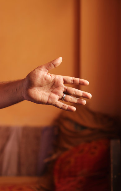 全手手掌手势停止图片下载