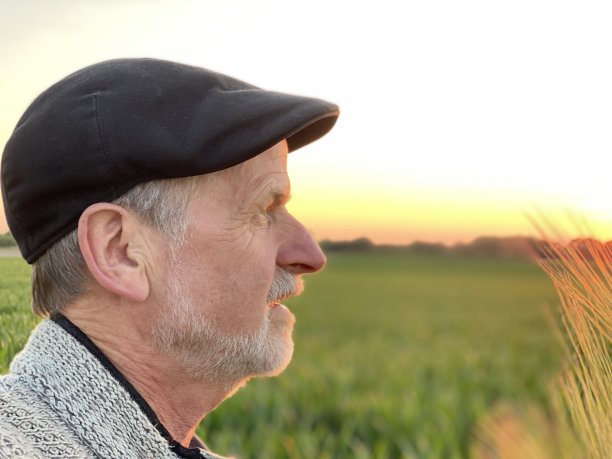 看日落图片下载