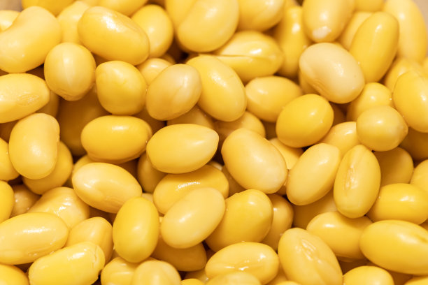 浸泡大豆图片下载