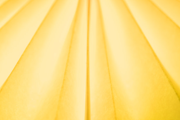 一个带槽的纸扇的特写图片下载