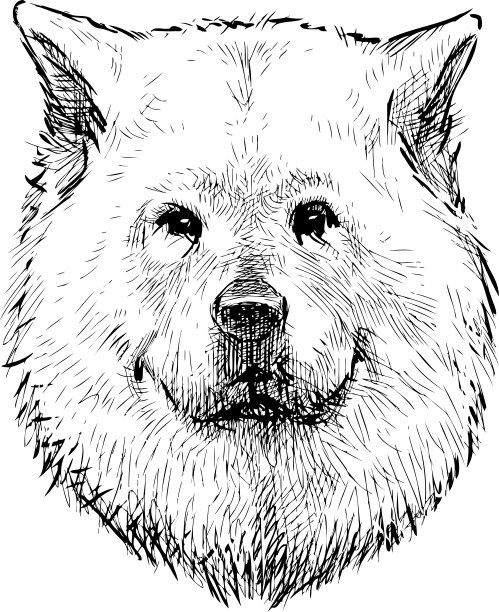 手绘的肖像看门狗图片下载