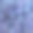 紫葡萄浆果背景图案。近葡萄画。图片下载