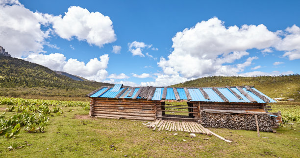 中国云南高原的木质谷仓。图片下载