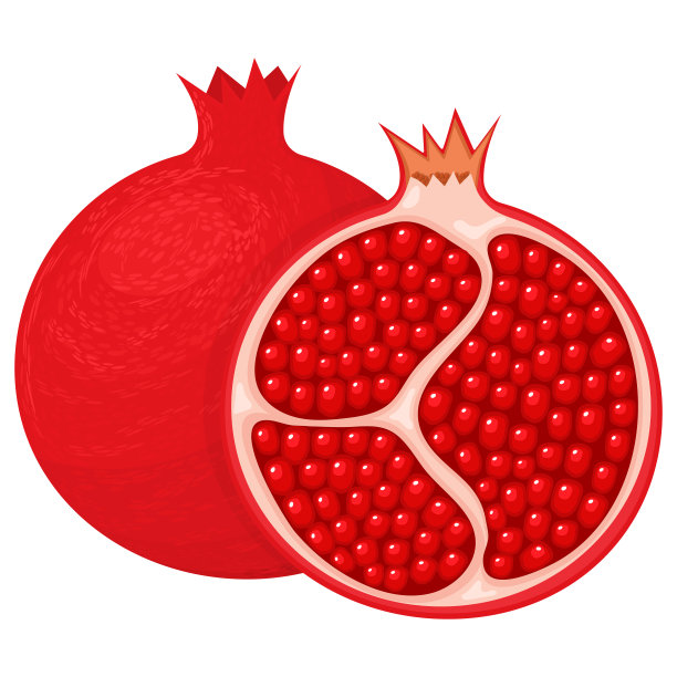 新鲜明亮的奇异的整个和半石榴，叶子孤立在白色的背景。夏日水果，健康生活方式。有机水果。卡通风格。矢量插图为任何设计。素材图片