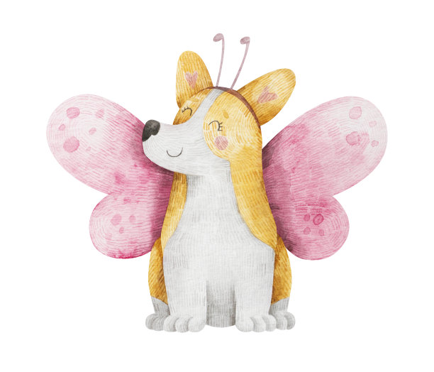 威尔士矮脚狗蝴蝶图片下载