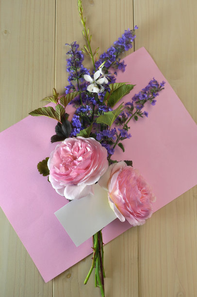 花束-备忘录图片下载