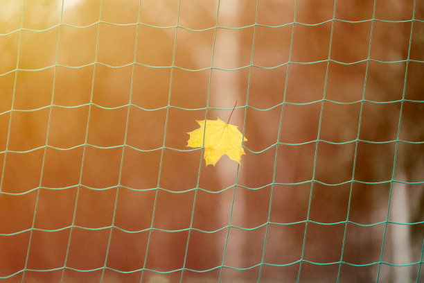 运动赛季结束的概念图片下载