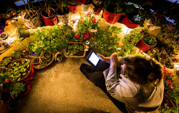 一个女人在阳台花园中使用电子阅读器阅读电子书图片下载