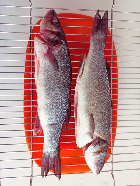 在伊斯坦布尔火鸡的烤箱里烹饪鲈鱼图片下载