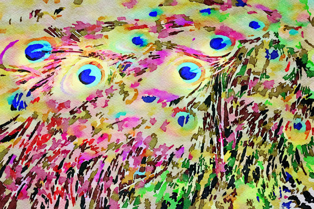 水彩插图的孔雀尾羽图片下载