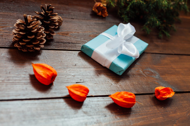 新年树圣诞冬季节日礼物图片下载