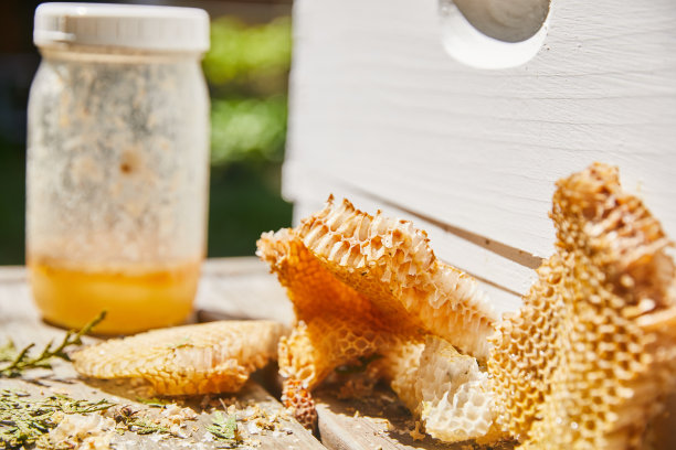 城市养蜂人和蜜蜂图片下载