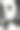 部分黑白斑点牛皮的特写图片下载