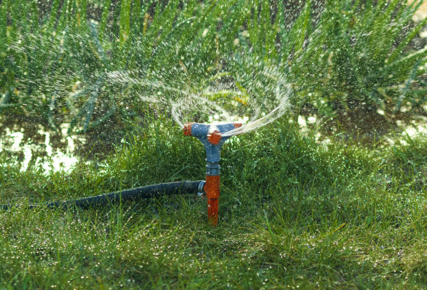 带水滴的草地喷水器图片下载