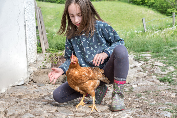 在农场和母鸡玩的女孩图片下载
