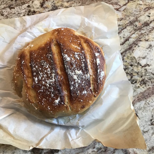 随意的烹饪图片下载