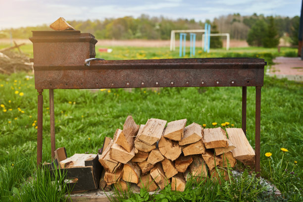 在火上烤肉。用准备好的原木生火图片下载
