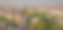 圣彼得堡风景。图片下载