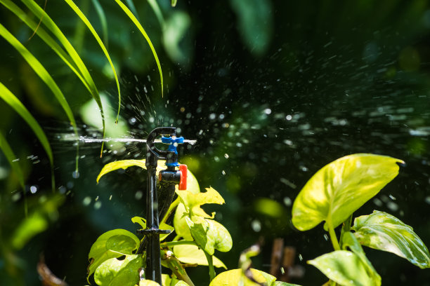洒水器浇花图片下载