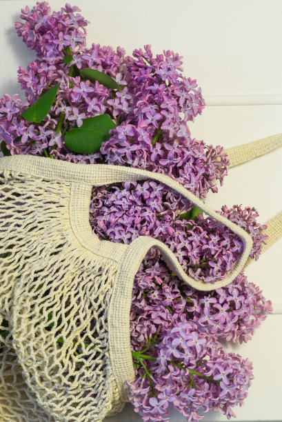 盛开的春天丁香花在网袋图片下载