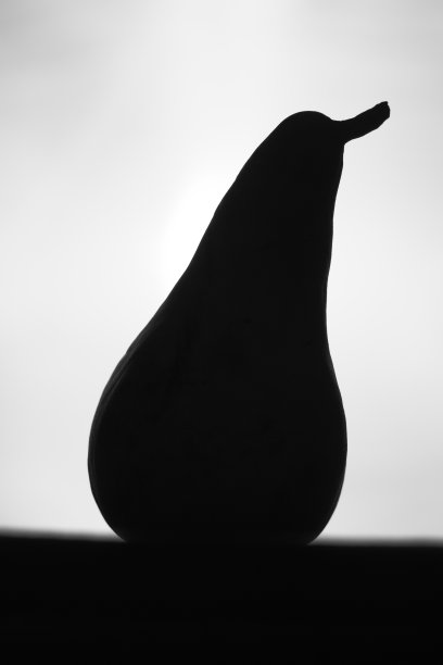一个黑白相间的梨的剪影。图片下载