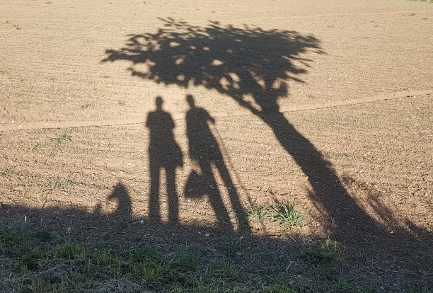 现代洞穴壁画《猴面包树下》图片下载