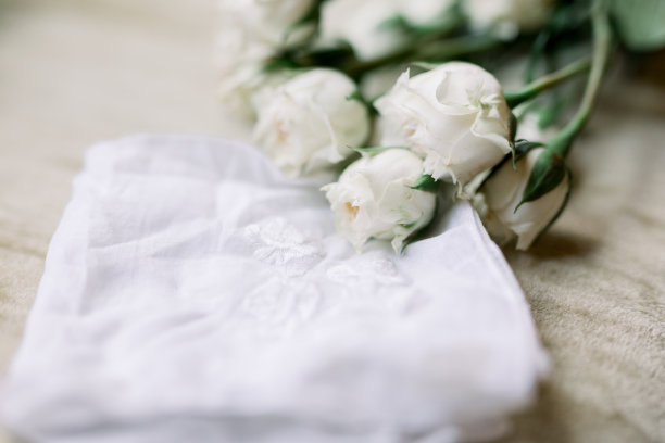 一张白色玫瑰躺在白色绣花手帕旁边的照片图片下载