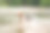 夏日里，一只小杰克罗素梗在浅水里爬行，因为游泳，它的皮毛湿漉漉的图片下载