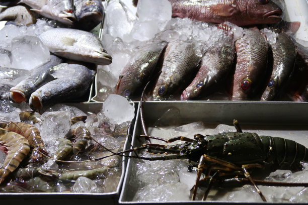 户外海滩餐厅，大虾，整只龙虾和鱼在金属托盘的碎冰上保持新鲜的特写图片图片下载