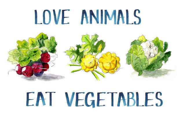 热爱动物图片下载