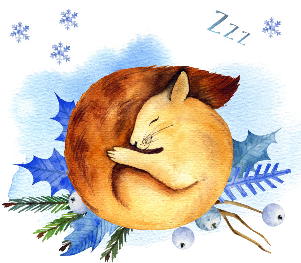 甜美的梦图片下载