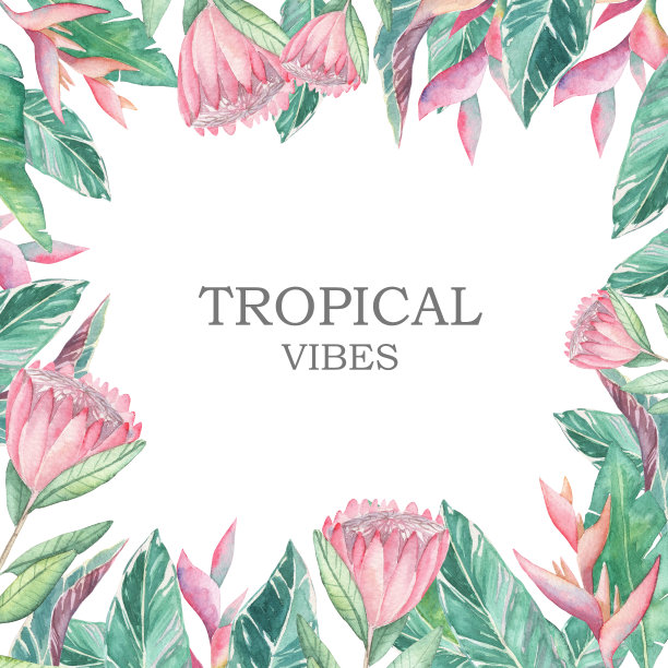 水彩手绘热带植物。框架横幅与复制空间图片下载