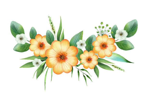 水彩手画花束与绿色的叶子和橙色的夏季花。植物花卉设计的卡片，婚礼邀请，海报，保存日期或问候设计孤立的白色背景。图片下载