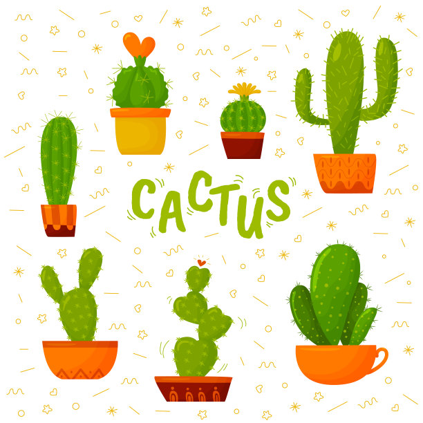 明亮的仙人掌。室内多刺的植物。图片下载