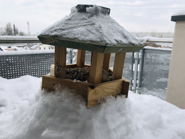 冬季喂鸟器图片下载