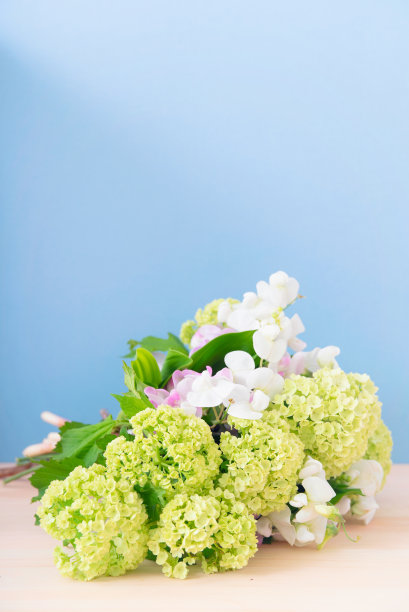 铃兰的花束图片下载