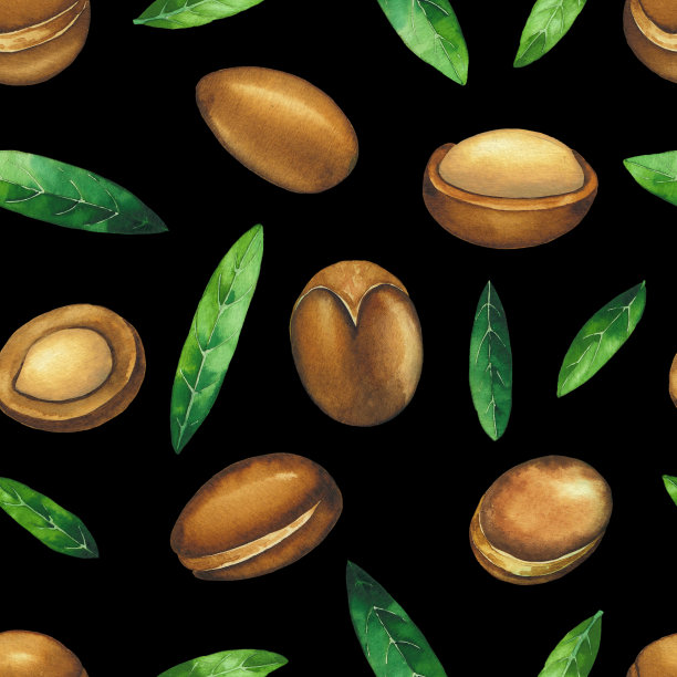 无缝模式的水彩坚果植物。手绘设计图片下载